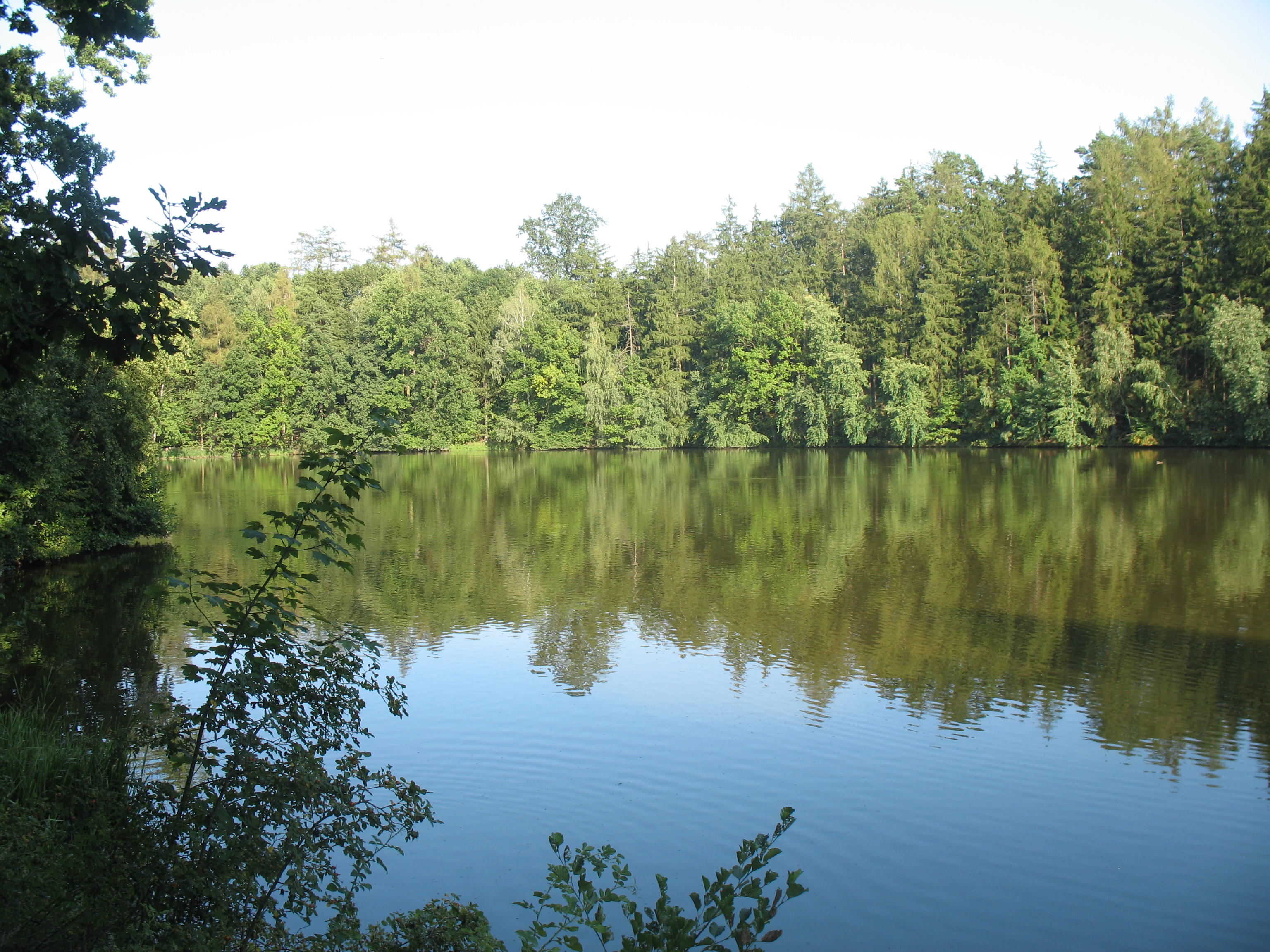 Mlýn 175